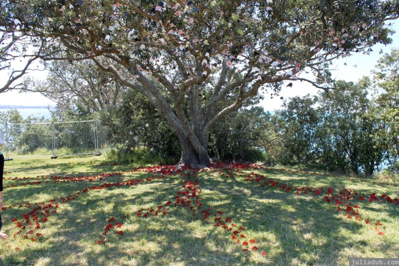 NZ Sculpture OnShore Nov 2012 (119) Turtle Donna Sarten's 'Black, white and red all over'