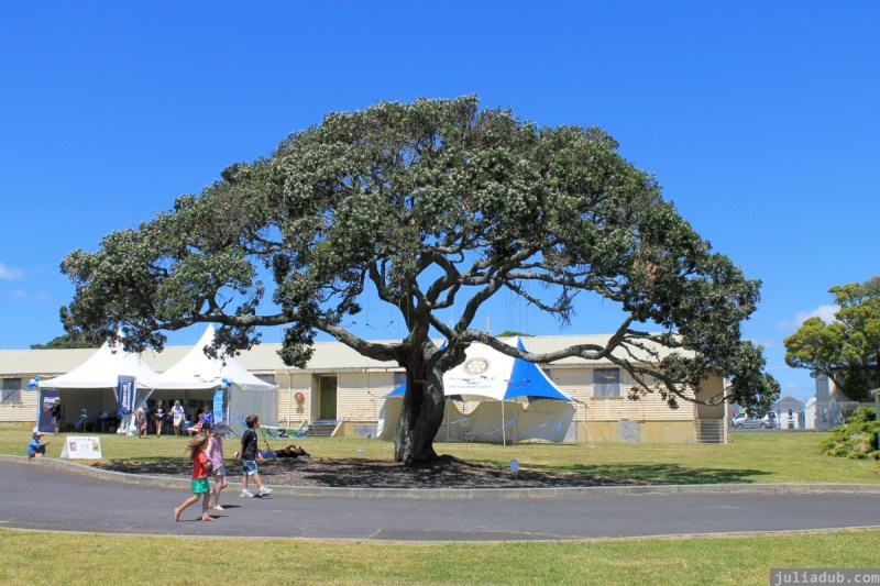 NZ Sculpture OnShore Nov 2012 (125) Chris Hargreaves - Swings and Roundabouts