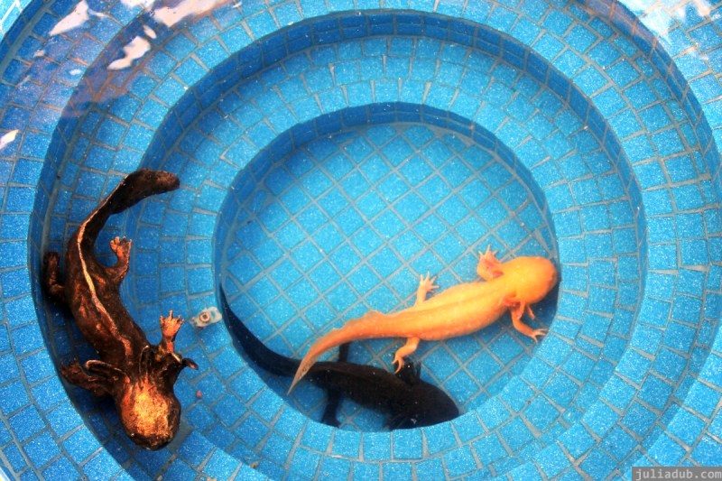 NZ Sculpture OnShore Nov 2012 (51) Brendan McGorry 'Holy of Holies'