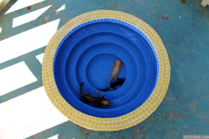 NZ Sculpture OnShore Nov 2012 (52) Brendan McGorry 'Holy of Holies'