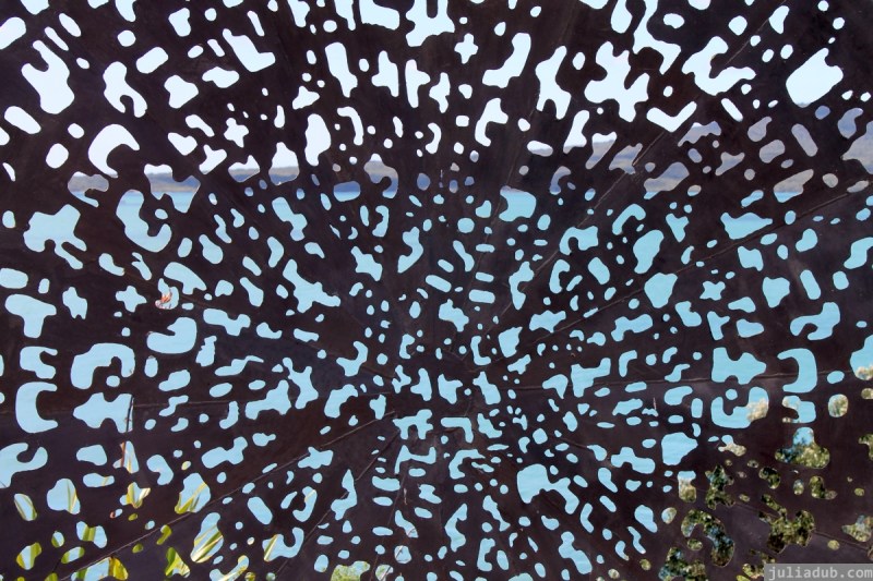 NZ Sculpture OnShore Nov 2012 (58) Maurice Van Cooten ‘Deep Dish – Augmented Reality Sculpture’