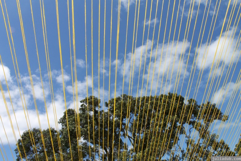 NZ Sculpture OnShore Nov 2012 (65) Gaye Jurisich 'Lean-to'