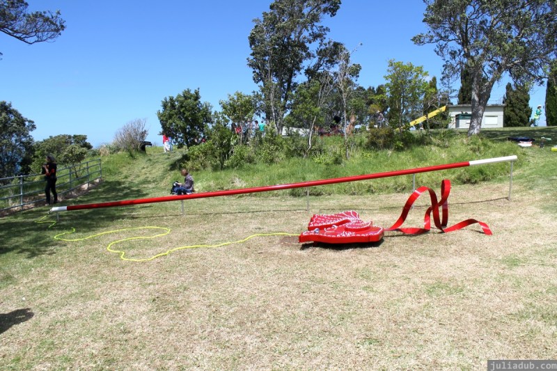 NZ Sculpture OnShore Nov 2012 (71) Greg Piper's 'Piwakawaka Cat-toy'