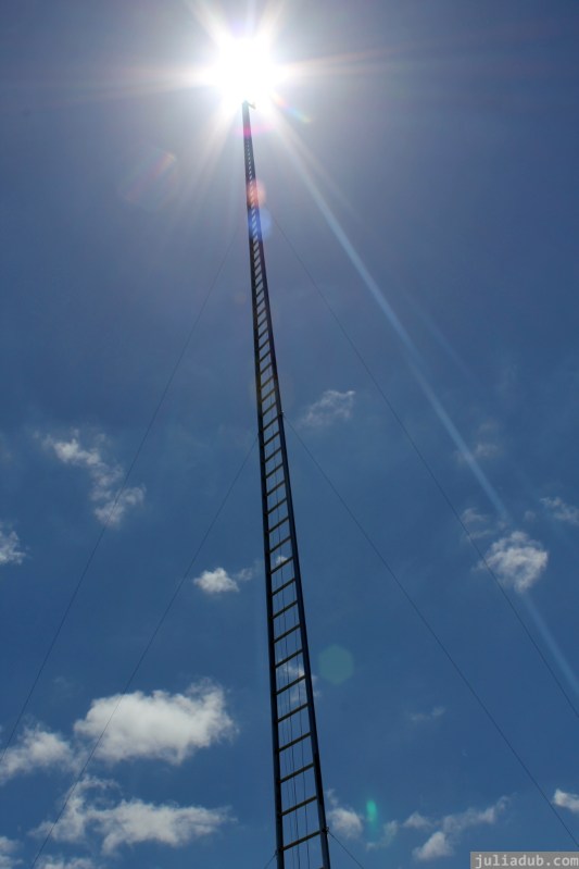 NZ Sculpture OnShore Nov 2012 (86) Gary Smith 'Really High!?'