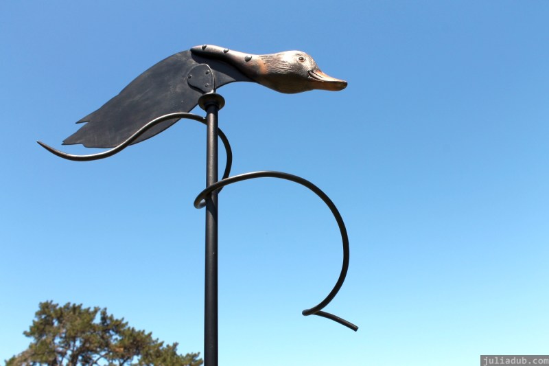 NZ Sculpture OnShore Nov 2012 (97) weather vane 'Watching out for St Francis, Pateke' by Bing Dawe